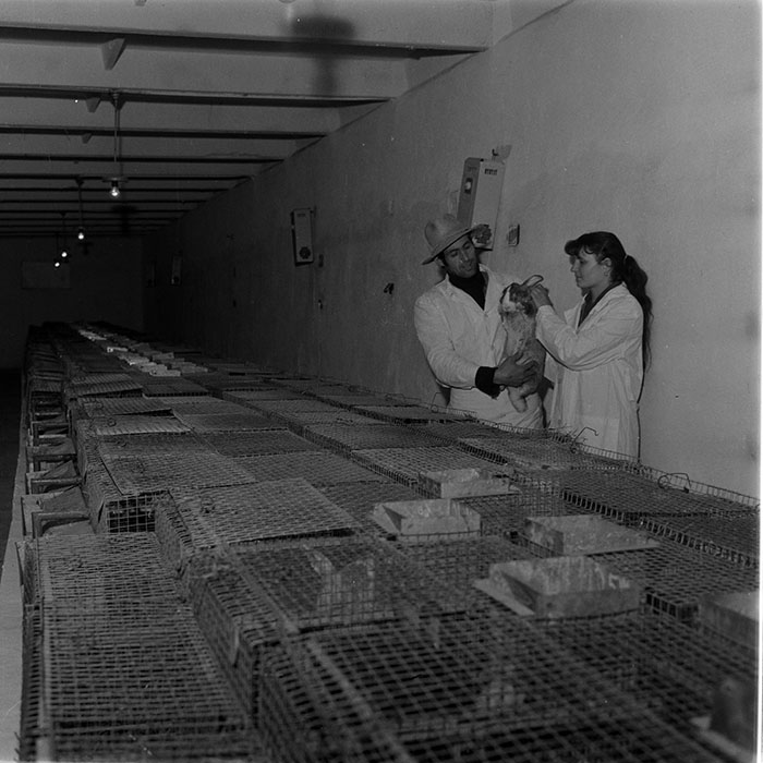 minerva_1983_c1_c6r3_014