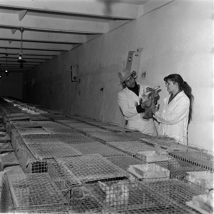 minerva_1983_c1_c6r3_015