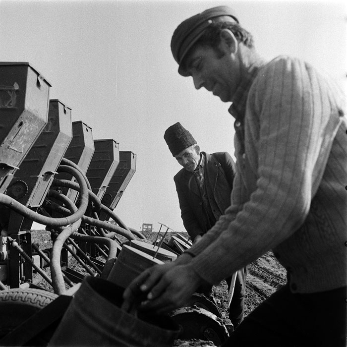 minerva_1983_c1_c6r3_027