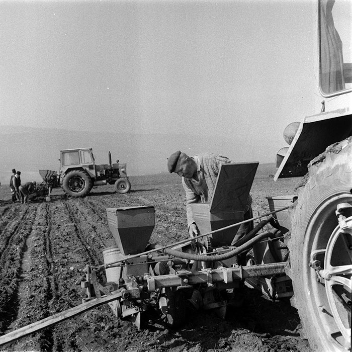 minerva_1983_c1_c6r3_028