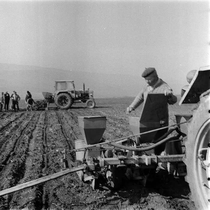 minerva_1983_c1_c6r3_029