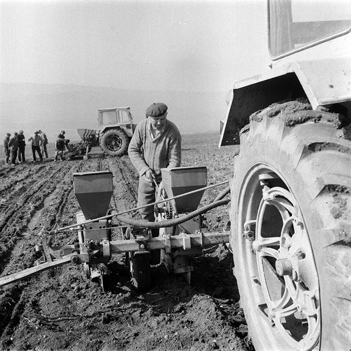 minerva_1983_c1_c6r3_030