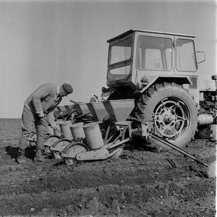 minerva_1983_c1_c6r3_034