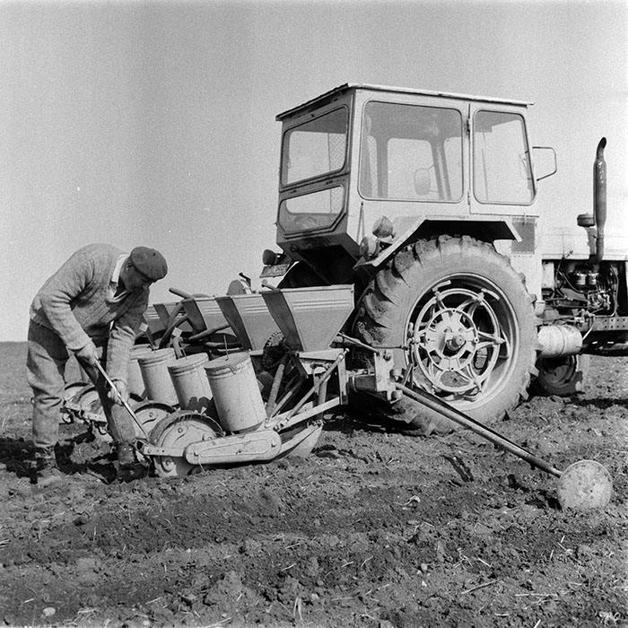 minerva_1983_c1_c6r3_035