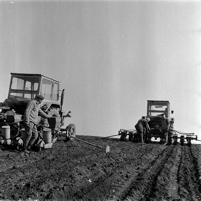 minerva_1983_c1_c6r3_036