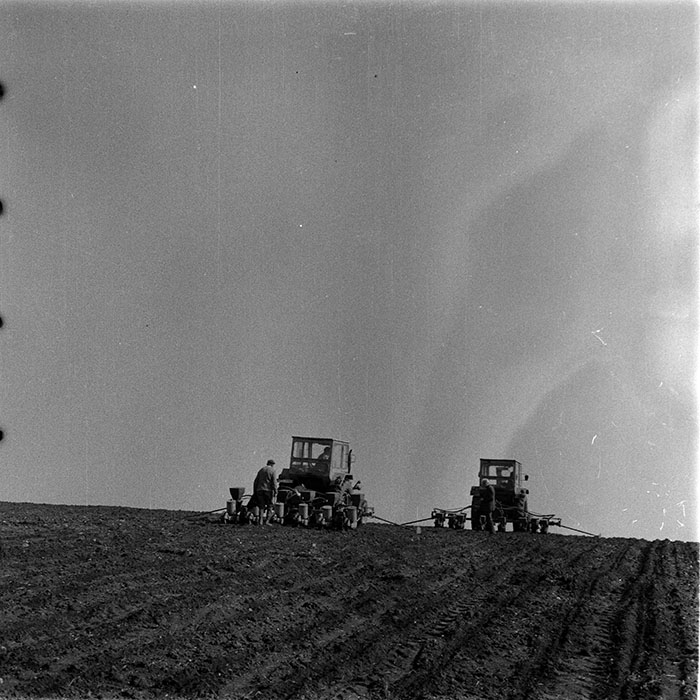 minerva_1983_c1_c6r3_037