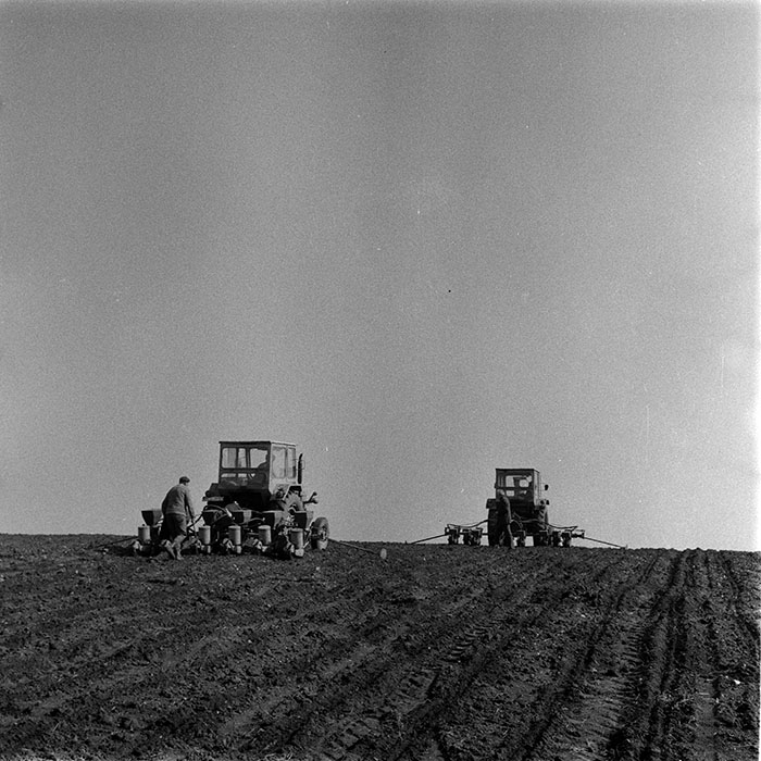 minerva_1983_c1_c6r3_038