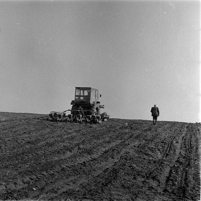 minerva_1983_c1_c6r3_039