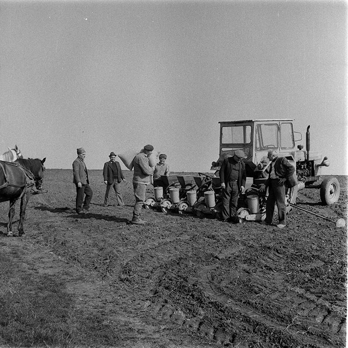 minerva_1983_c1_c6r3_041