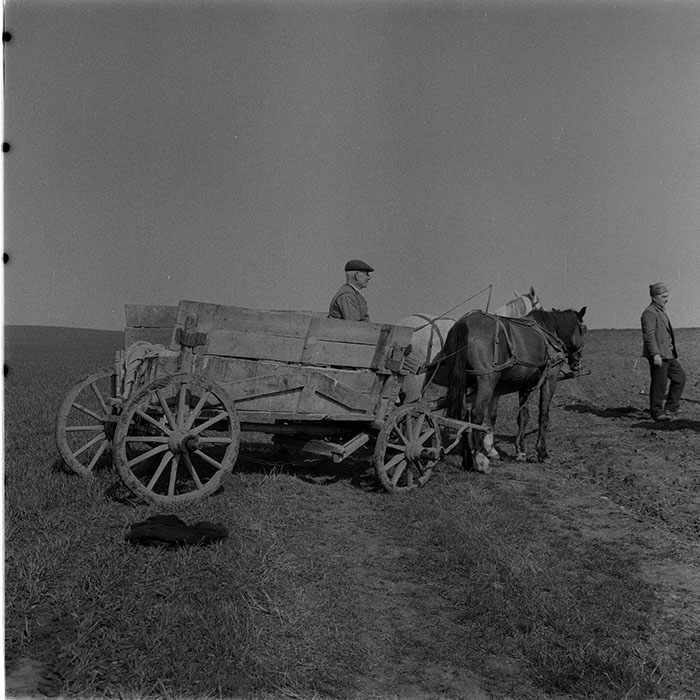 minerva_1983_c1_c6r3_042