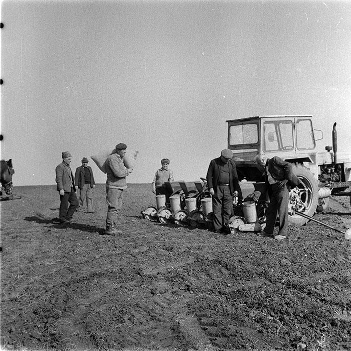 minerva_1983_c1_c6r3_043