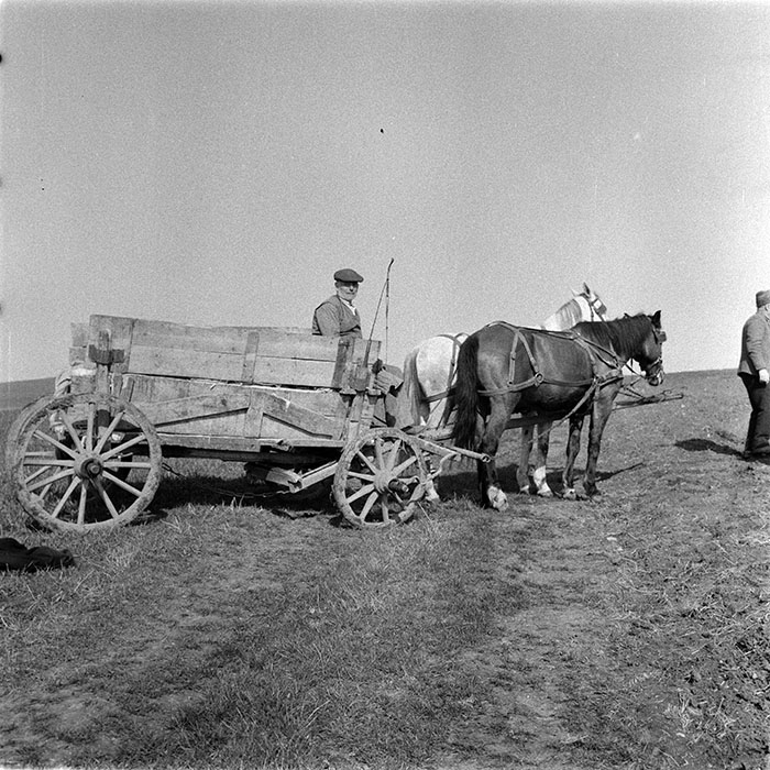 minerva_1983_c1_c6r3_044