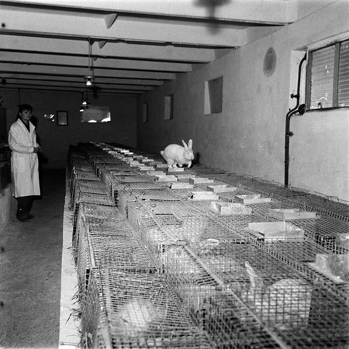 minerva_1983_c1_c6r3_047