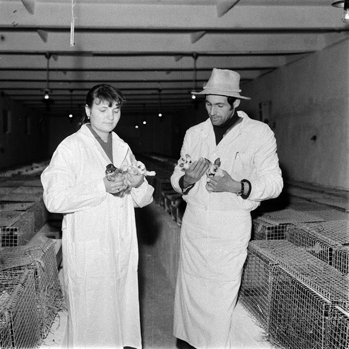 minerva_1983_c1_c6r3_048