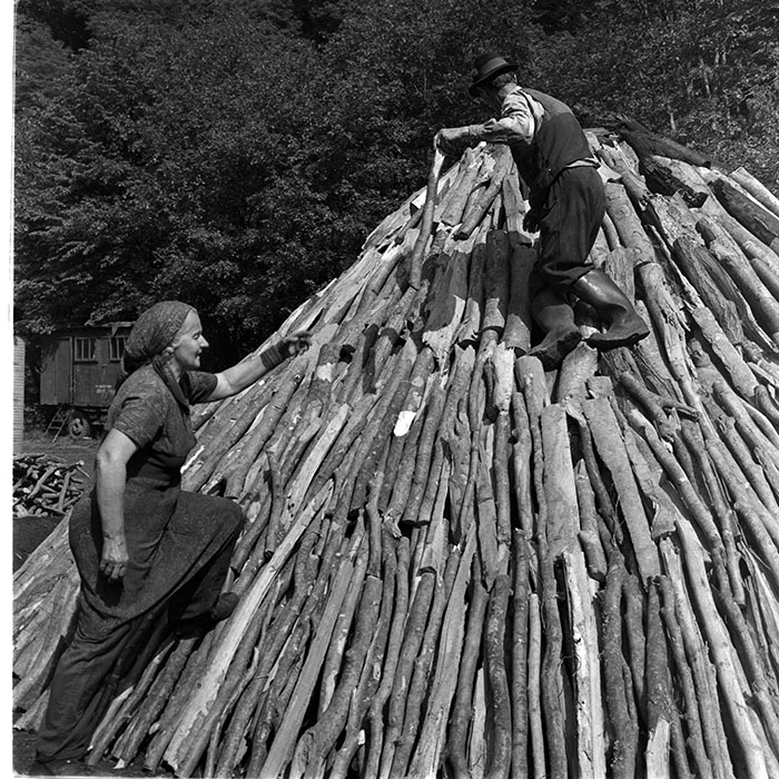 minerva_1983_c1_c6r5_023