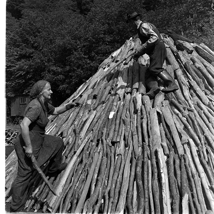 minerva_1983_c1_c6r5_024