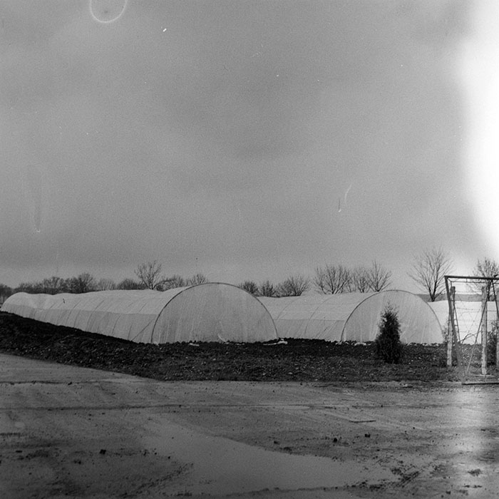 minerva_1983_c1_c7r1_014