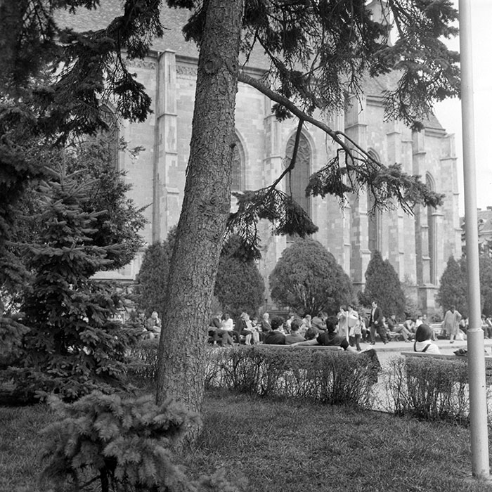 minerva_1983_c1_c7r1_016