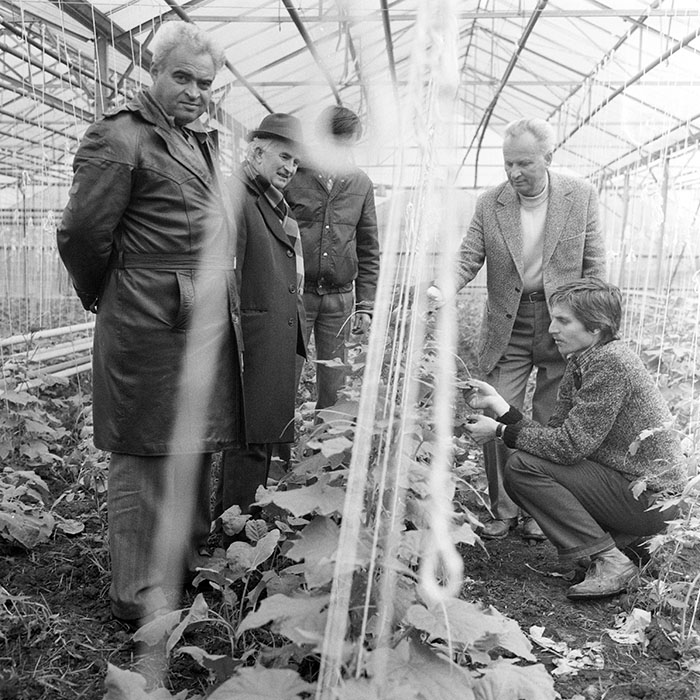 minerva_1983_c1_c7r2_002