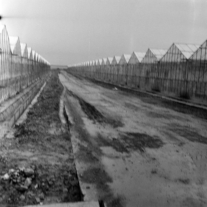 minerva_1983_c1_c7r2_003