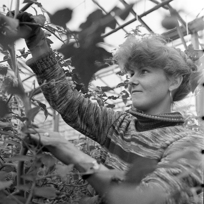 minerva_1983_c1_c7r2_004