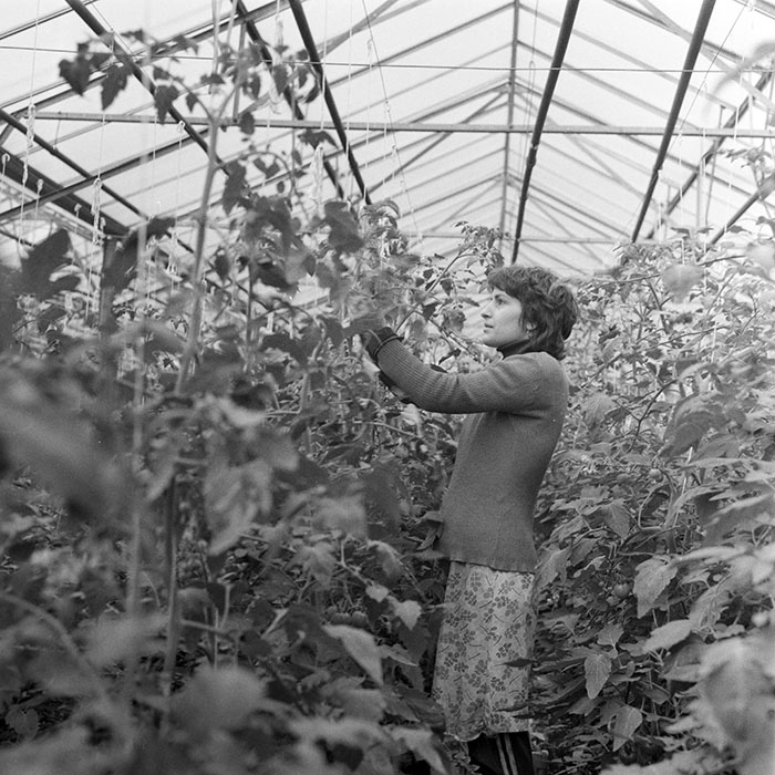 minerva_1983_c1_c7r2_005