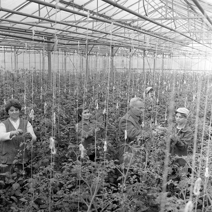 minerva_1983_c1_c7r2_007