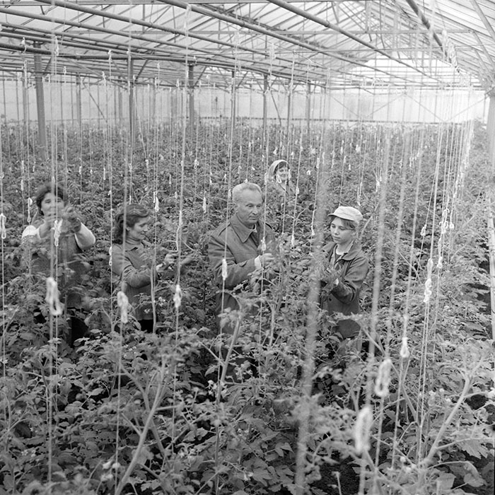 minerva_1983_c1_c7r2_008