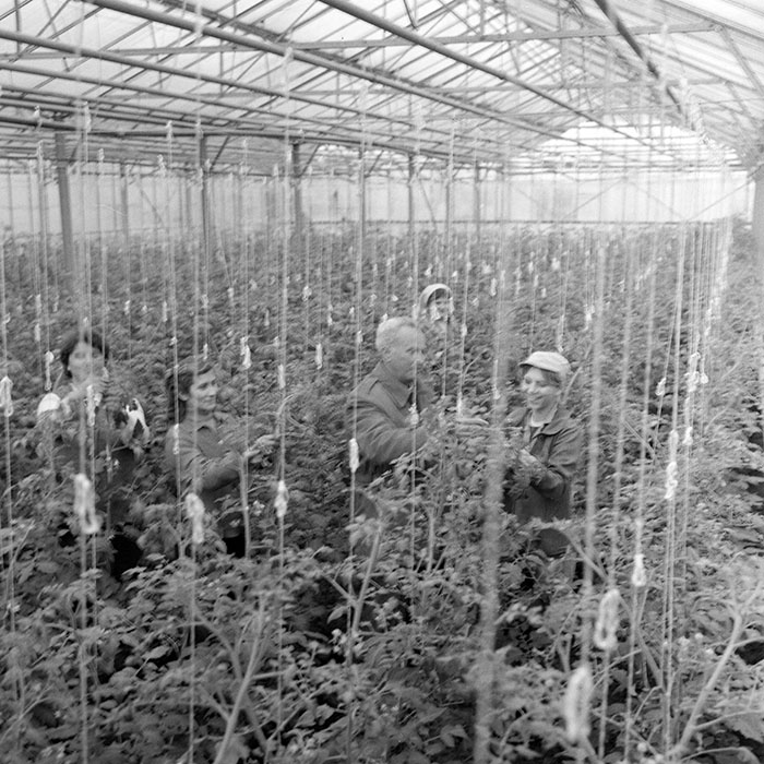 minerva_1983_c1_c7r2_009