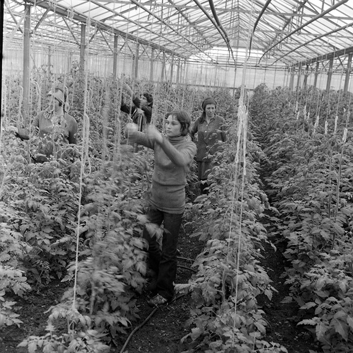 minerva_1983_c1_c7r2_010