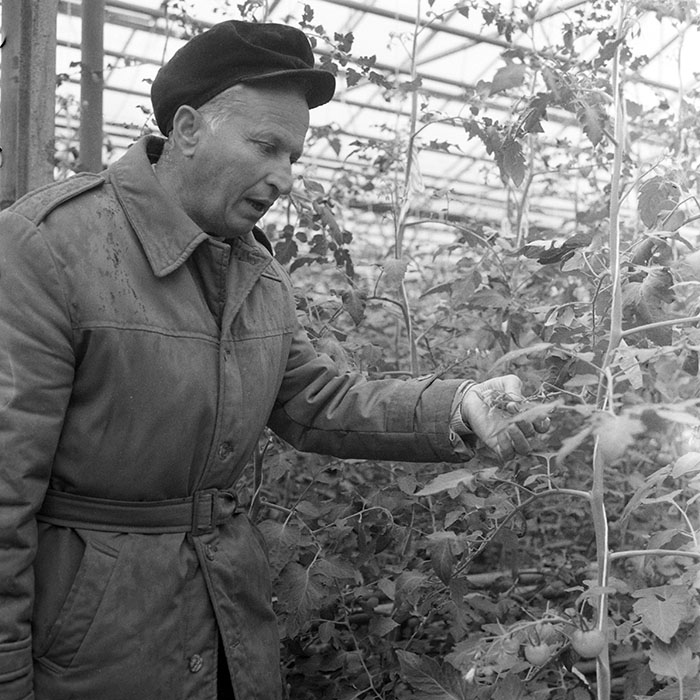 minerva_1983_c1_c7r2_012