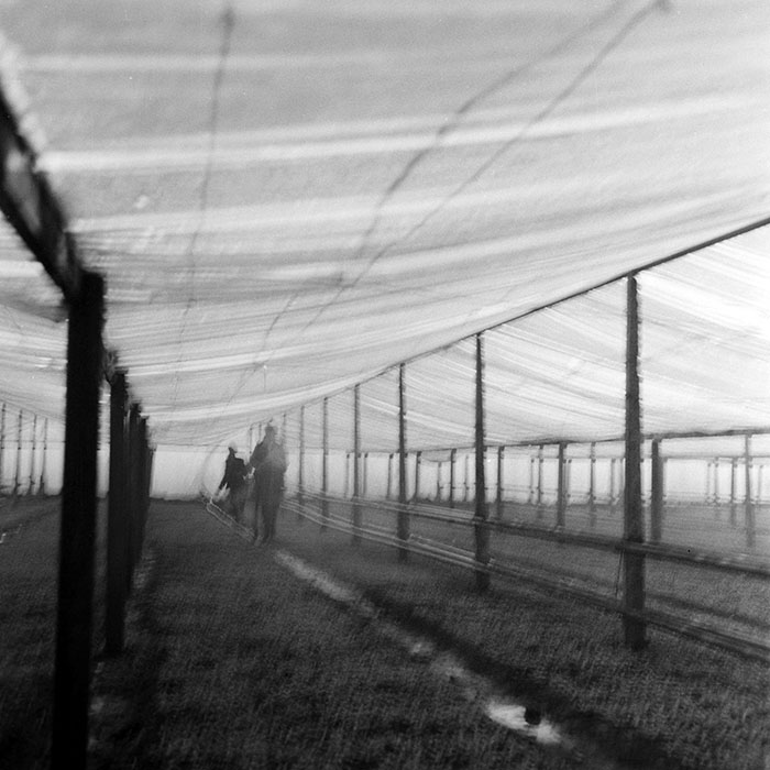 minerva_1983_c1_c7r2_014