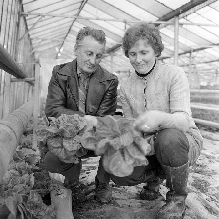 minerva_1983_c1_c7r2_015