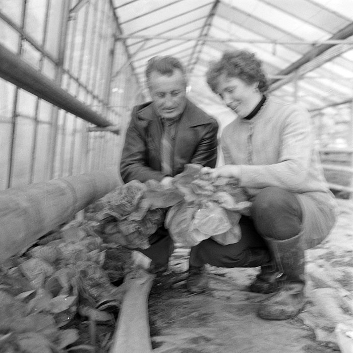 minerva_1983_c1_c7r2_016