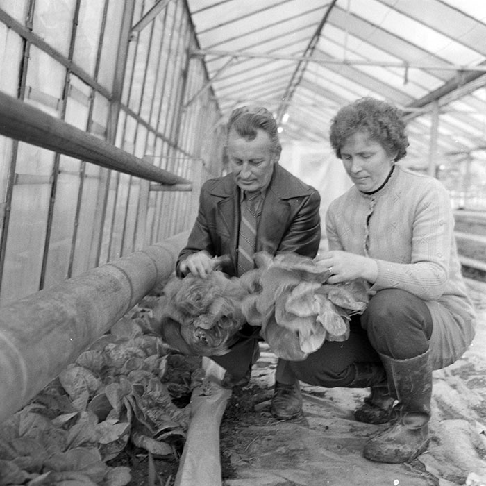 minerva_1983_c1_c7r2_017