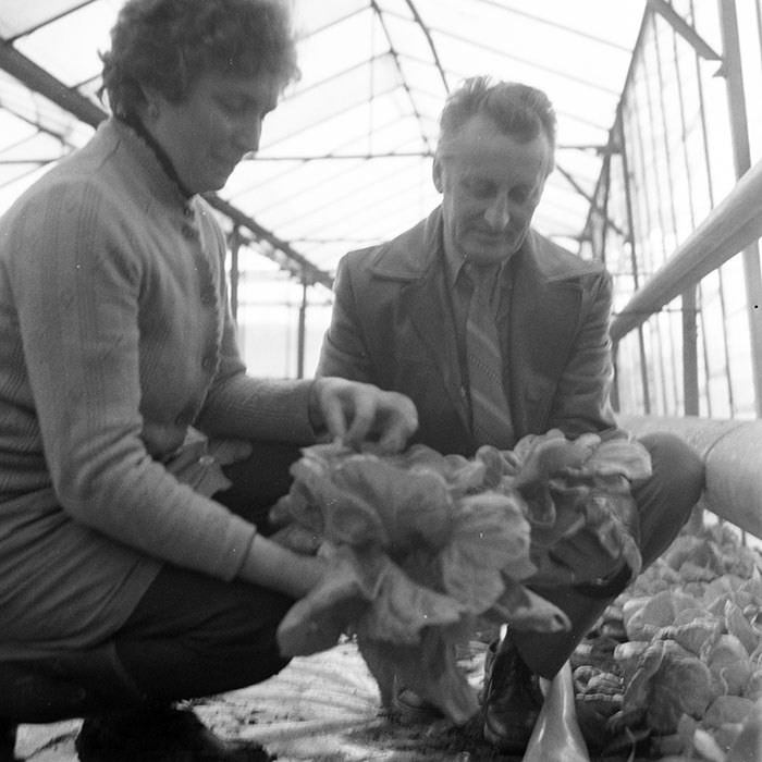 minerva_1983_c1_c7r2_018