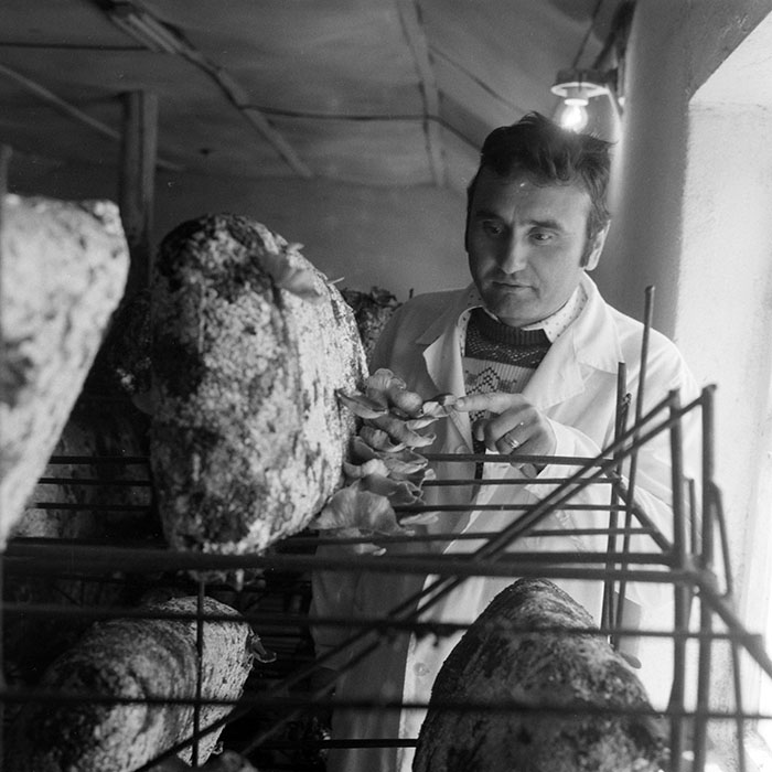 minerva_1983_c1_c7r3_016