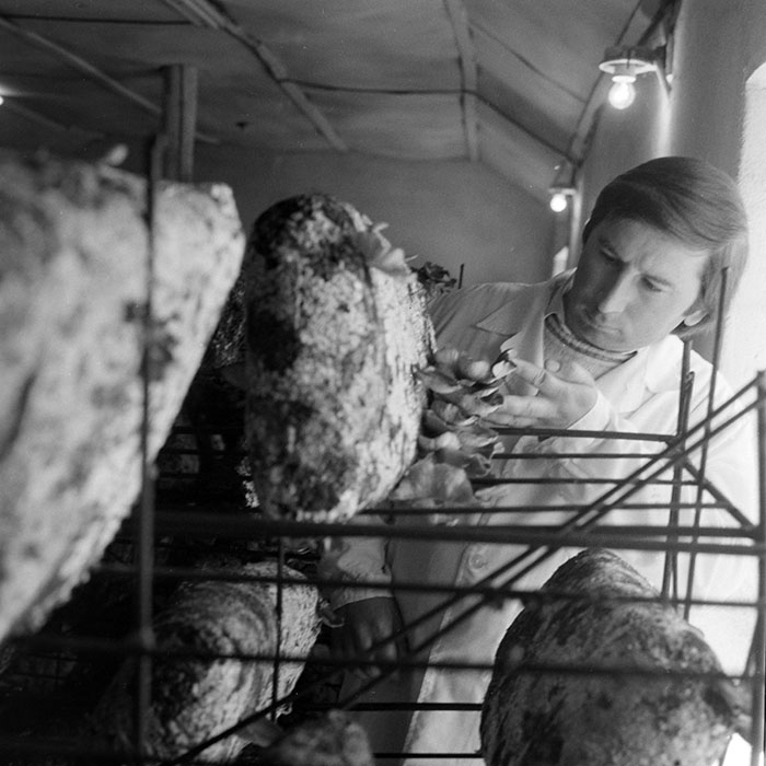 minerva_1983_c1_c7r3_017