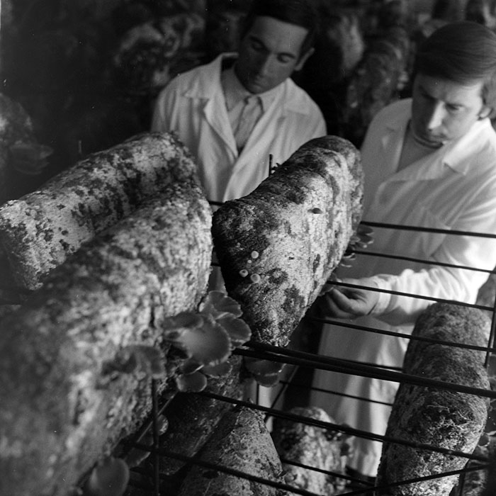 minerva_1983_c1_c7r3_019