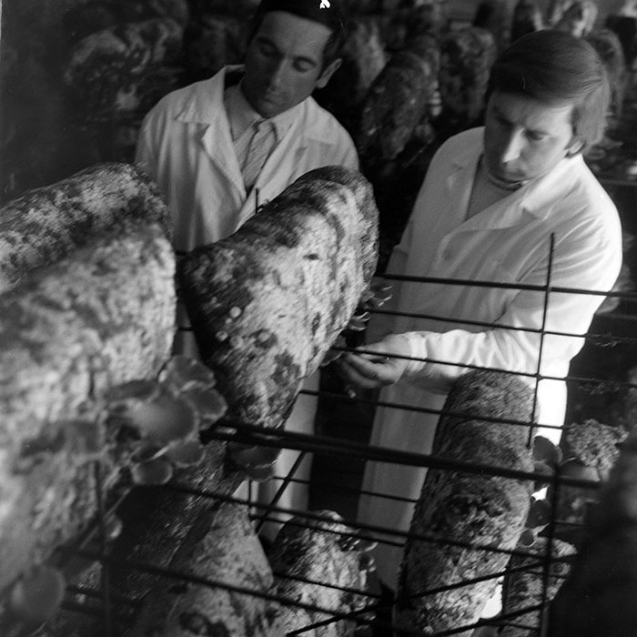 minerva_1983_c1_c7r3_020