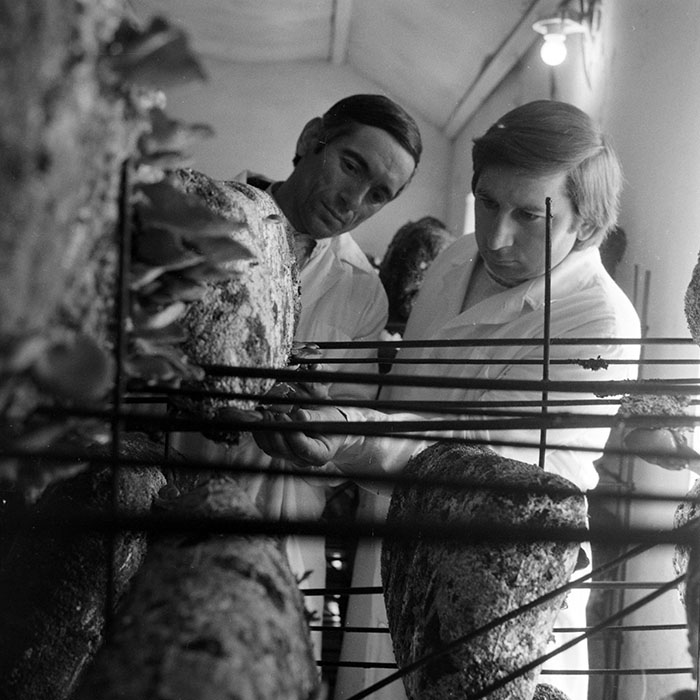 minerva_1983_c1_c7r3_021