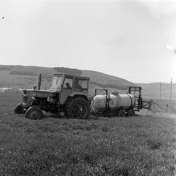 minerva_1983_c1_c7r3_022