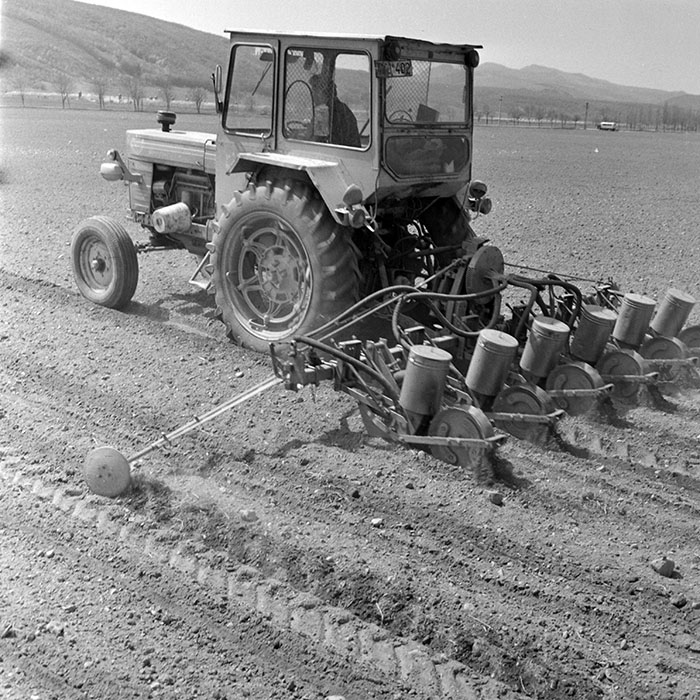 minerva_1983_c1_c7r3_028