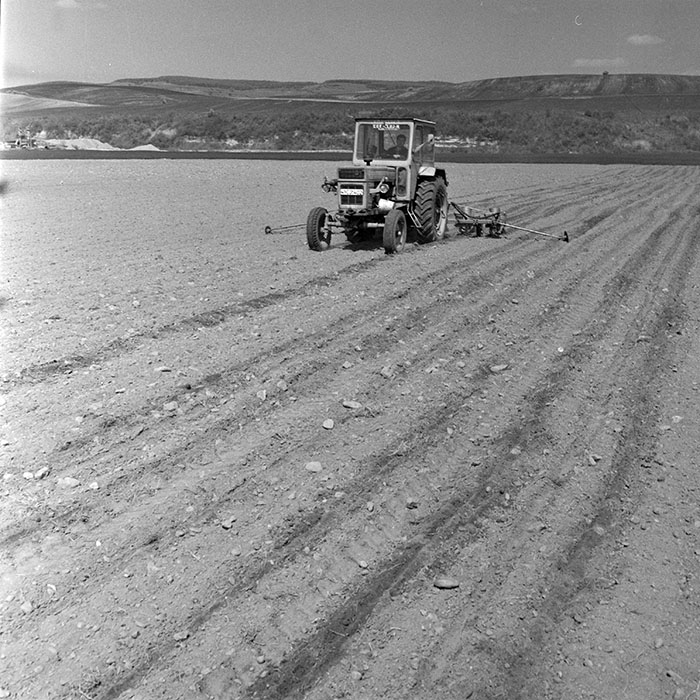 minerva_1983_c1_c7r3_030