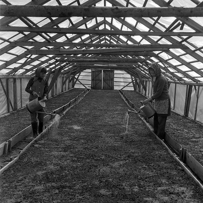 minerva_1983_c1_c7r4_011