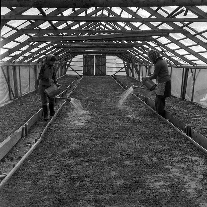 minerva_1983_c1_c7r4_012