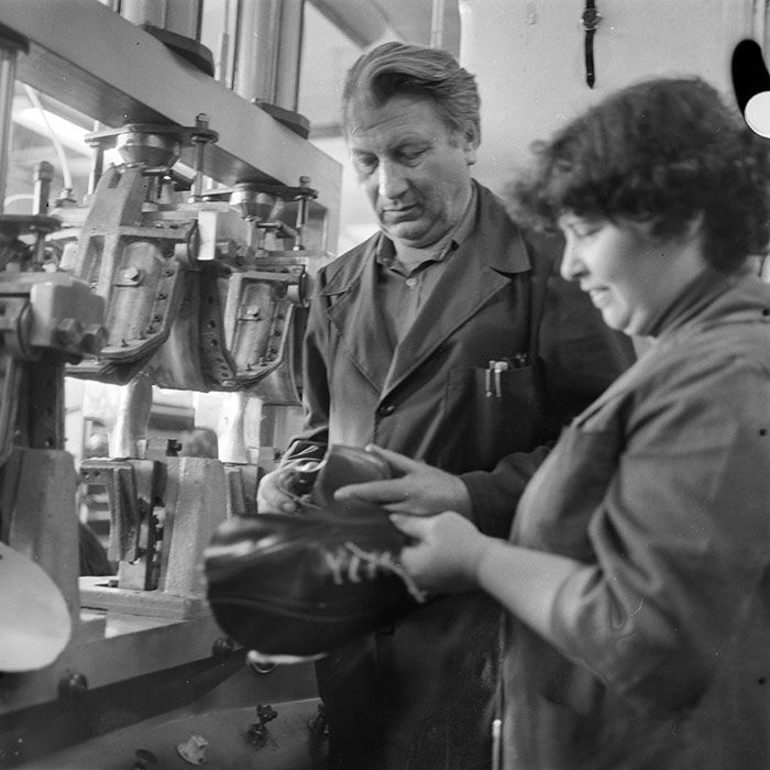 minerva_1983_c1_c8r1_002