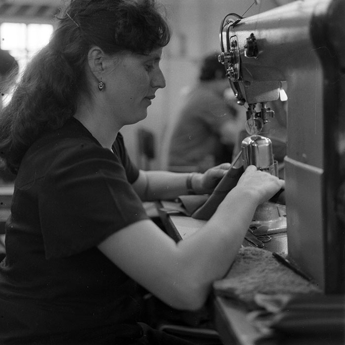 minerva_1983_c1_c8r1_006