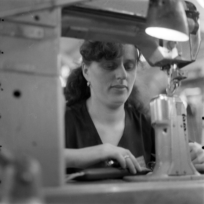 minerva_1983_c1_c8r1_008