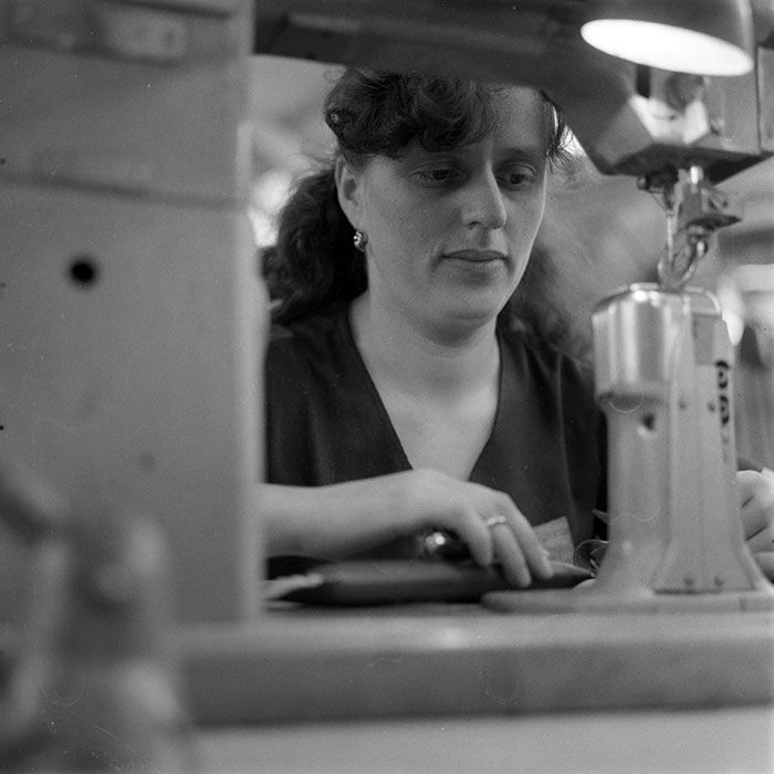 minerva_1983_c1_c8r1_009